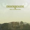 Phosphorescent - Here's to Taking It Easy - Music & Performance - Vinyl