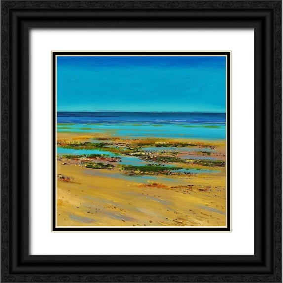 Francis, Sandra 12x12 Black Ornate Wood Framed with Double Matting Museum Art Print Titled - Coastal Colour Strip III