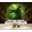 Color 1, variant on Wallpaper Tropical Forest Vibrant Foliage Serene River Woodland Peel and Stick Wall Murals 100"H x 144"W Removable PVC Wall Paper Self-Adhesive Wall Paintings Art Decor for Bedroom Living Room