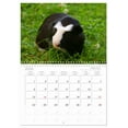 thumbnail image 6 of Guinea pigs and dwarf rabbits (Monthly Wall Calendar 2026 11.7 x 16.5 (open)), CALVENDO 14 Month Calendar, 6 of 9