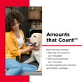 thumbnail image 3 of Nutri-Vet Hip and Joint Care Chewables for Dogs, Regular Strength, 75 Count, 3 of 9