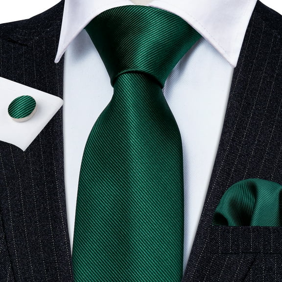 Barry.Wang Classic Ties for Men Formal Business Wedding Solid Paisley Necktie Set