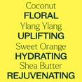 thumbnail image 4 of Plant Therapy Coconut Ylang Ylang Body Cream 8 oz Moisturize & Uplift, Restore Softness & Hydration, Vitamins and Antioxidants to Soften, Smooth, and Firm Skin, 4 of 8