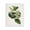 Vintage Botanical Plant Study, variant on Stupell Industries Cottage Canvas Art, 16 x 20, by Tina Higgins Designs Inc.