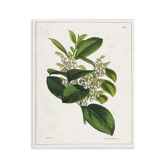 Stupell Industries Cottage Wall Plaque Art, 11 x 14, by Tina Higgins Designs Inc.