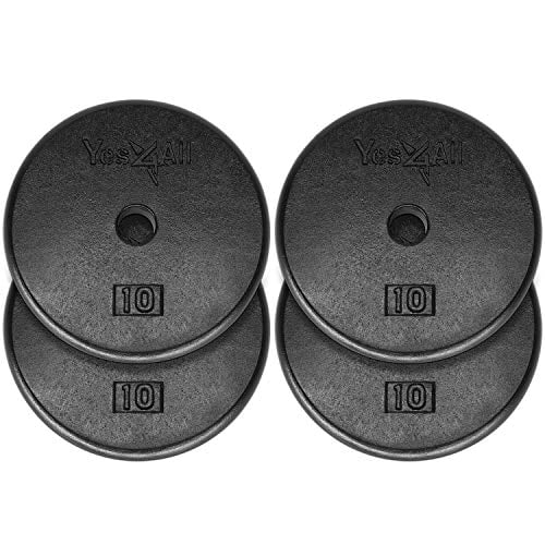 Barbell 10lbs 1” Standard Grip Weight Plates 4 x 10 lb Cast Iron Free Ship 40lbs 