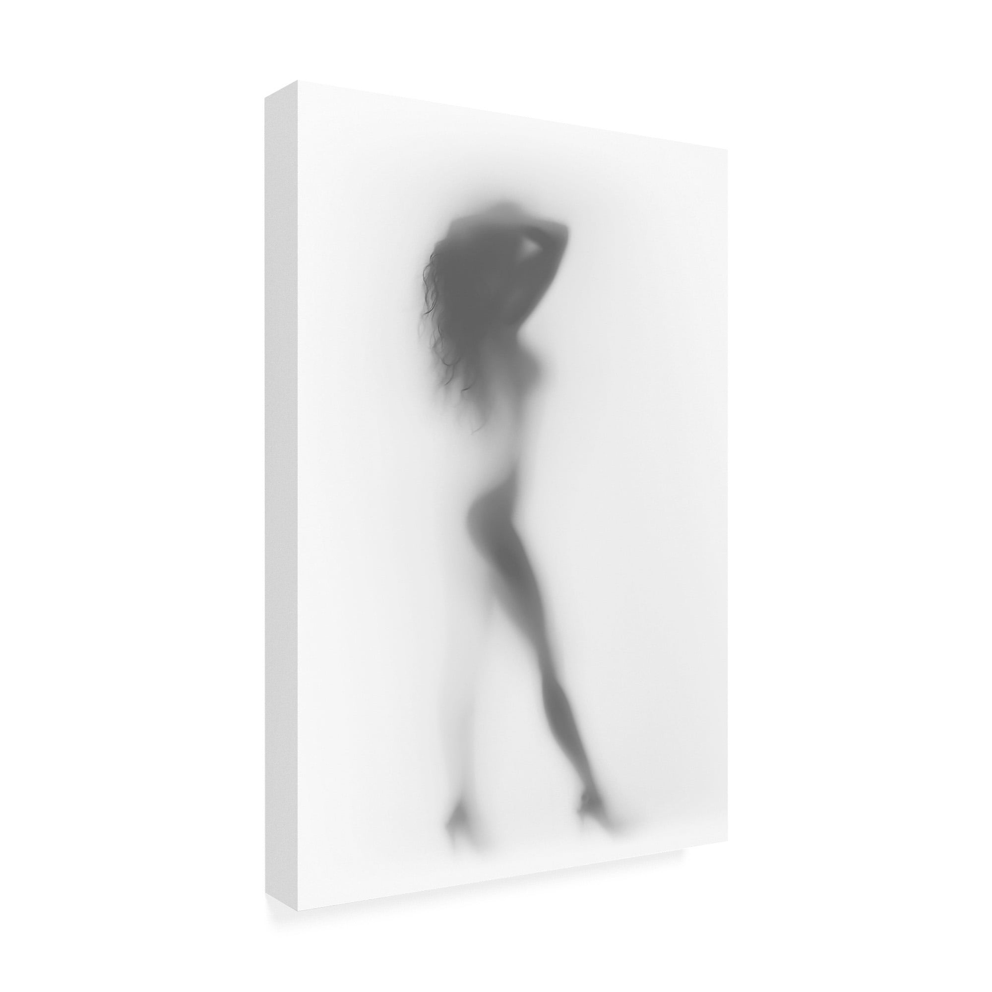 Trademark Fine Art 'Fashion Silhouette' Canvas Art by Incado