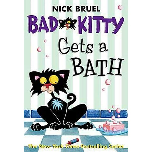 Pre-Owned Bad Kitty for President (Paperback) 1250092612 9781250092618