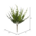 thumbnail image 2 of Vickerman 19" Artificial Green Monterey Cypress Bush, Pack of 2, 2 of 2
