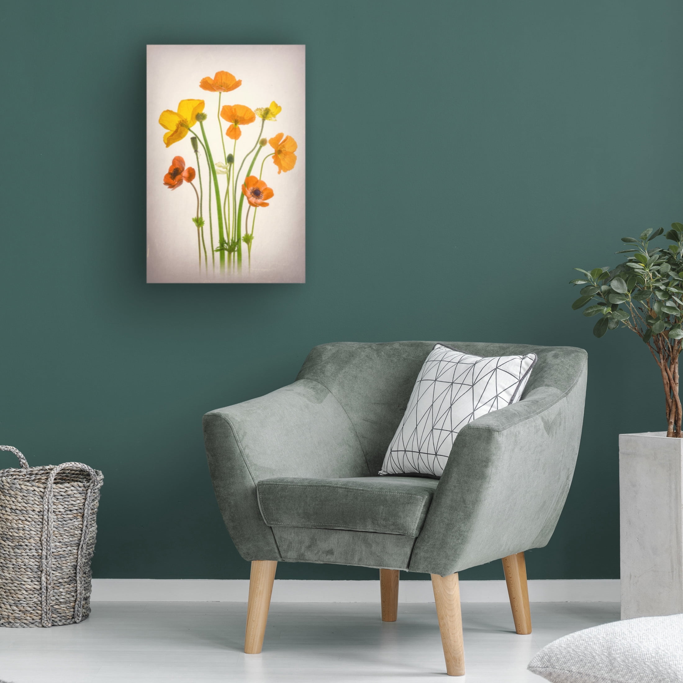 Trademark Fine Art Lydia Jacobs Delightful Poppies Canvas Wall Art