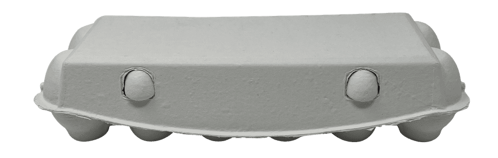 36 Premium Egg Cartons 12 Hole One Dozen White Small-Jumbo Flat Top