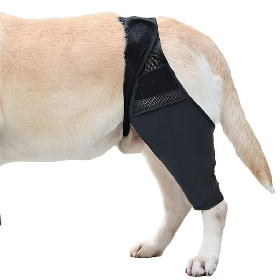 GASTROPOD Dog Back Leg Brace for Knee Support, Dog Leg Brace for Torn ACL, CCL, Luxating Patella, Knee Wounds Care, Prevent Licking Effective