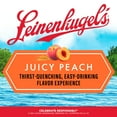 thumbnail image 6 of Leinenkugel's Juicy Peach Beer, 6 Pack, 12 fl oz Aluminum Cans, 4.4% ABV, 6 of 6