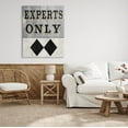 thumbnail image 2 of Stupell Industries Experts Only Ski Black Diamond Graphic Art Gallery Wrapped Canvas Print Wall Art, Design by Livi Finn, 2 of 2