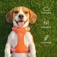 thumbnail image 6 of Oodles Adjusable Dog Walking Harness with Handle, Red, Medium, 6 of 12