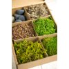 Terrarium Kit with Bark,Asst Mosses, Stones and Lichen, Forest