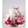 Beautiful Butterfly Cake Set in Pink
