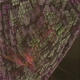 thumbnail image 1 of Ahgly Company Tapis d'Intérieur Lavable en Machine Carré Rouge Nuit, 4 Pieds Carré, 1 of 7
