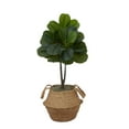 thumbnail image 2 of Nearly Natural 3' Artificial Fiddle Leaf Fig Tree DIY Kit - Set of 2, 2 of 12