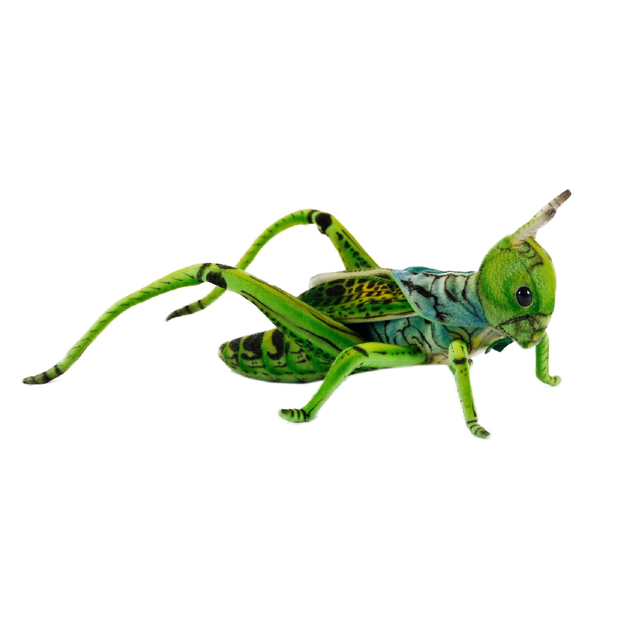 Hansa Toys - Grasshopper, Green - Walmart.com - Walmart.com