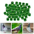 thumbnail image 4 of ruzhgo 100Pcs 2022 Aluminium Dove Racing Pigeon Foot Rings Bands 8mm Grass Green, 4 of 8