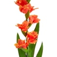 thumbnail image 4 of 46” Gladiolus Artificial Flower (Set of 3) by Nearly Natural, 4 of 4