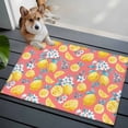 thumbnail image 4 of Summer Fruit Washable Small Entryway Area Rugs 2'x3', Watercolor Lemon Cute Frangipani Blue Leaves Farmhouse Low Pile Throw Rug Non-Slip Sturdy Edge Binding Carpet for Front Door Floor Room Entry, 4 of 9