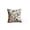 B, variant on Halloween Raven Toile Decorative Pillow, for Indoor Outdoor Wall, Porch, Party and Spooky Home Decor