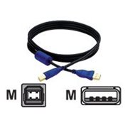 Adesso Accell Gold Series USB 2.0 Hi-Speed Device Cable - USB cable - USB (M) to USB Type B (M) - USB 2.0 - 10 ft