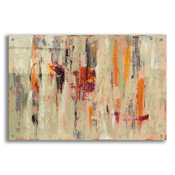 Epic Art 'Graffiti Wall I' by Silvia Vassileva, Acrylic Glass Wall Art, 36"x24"