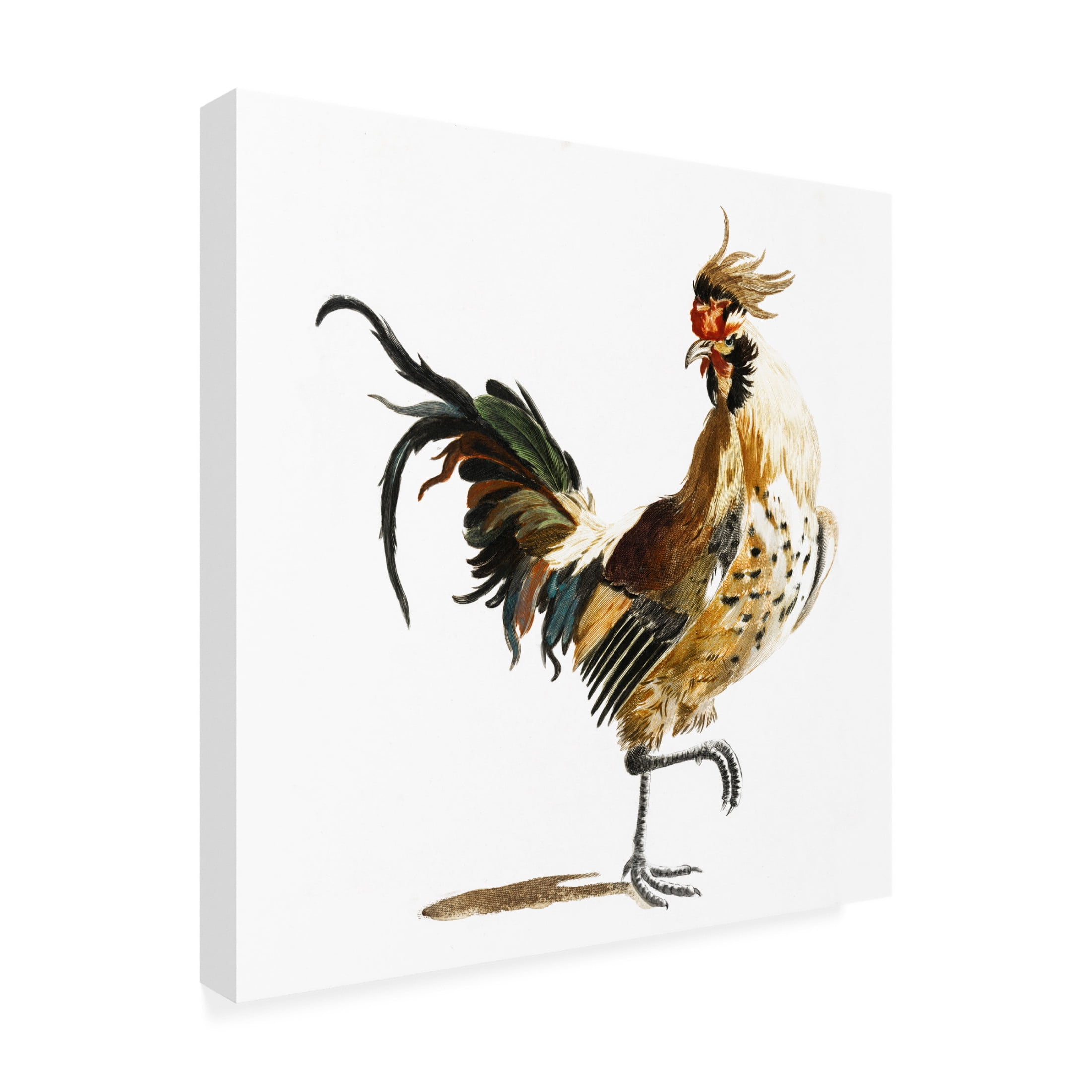 Trademark Fine Art Johan Teyler  Teyler Roosters I Canvas Wall Art