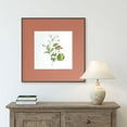 thumbnail image 2 of Con-Tact Brand Contact paper Adhesive Shelf Liner 18 in x 16ft, Serenity Coral, 2 of 5