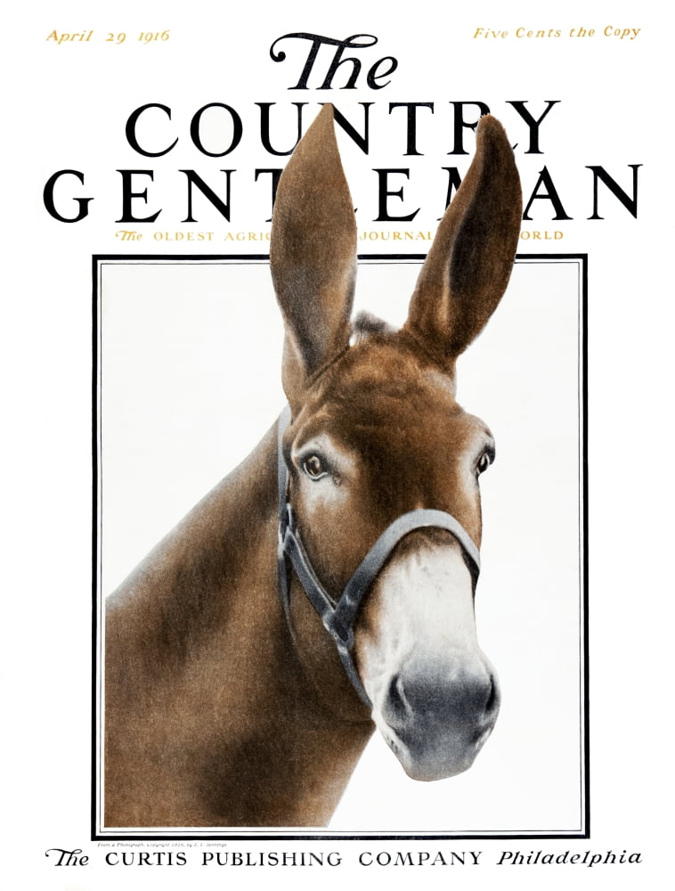 Cover of Country Gentleman agricultural magazine from the early 20th century Canvas Art - Remsberg Inc Design Pics (13 x 17)
