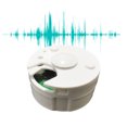 thumbnail image 4 of BotaniNest Voice Recorder For Stuffed Animals 30 Sec Mini Recorder With Playback Easy To Operate And Adorable Design Perfect For And Long Lasting Memories，Early Education Toys, 4 of 6