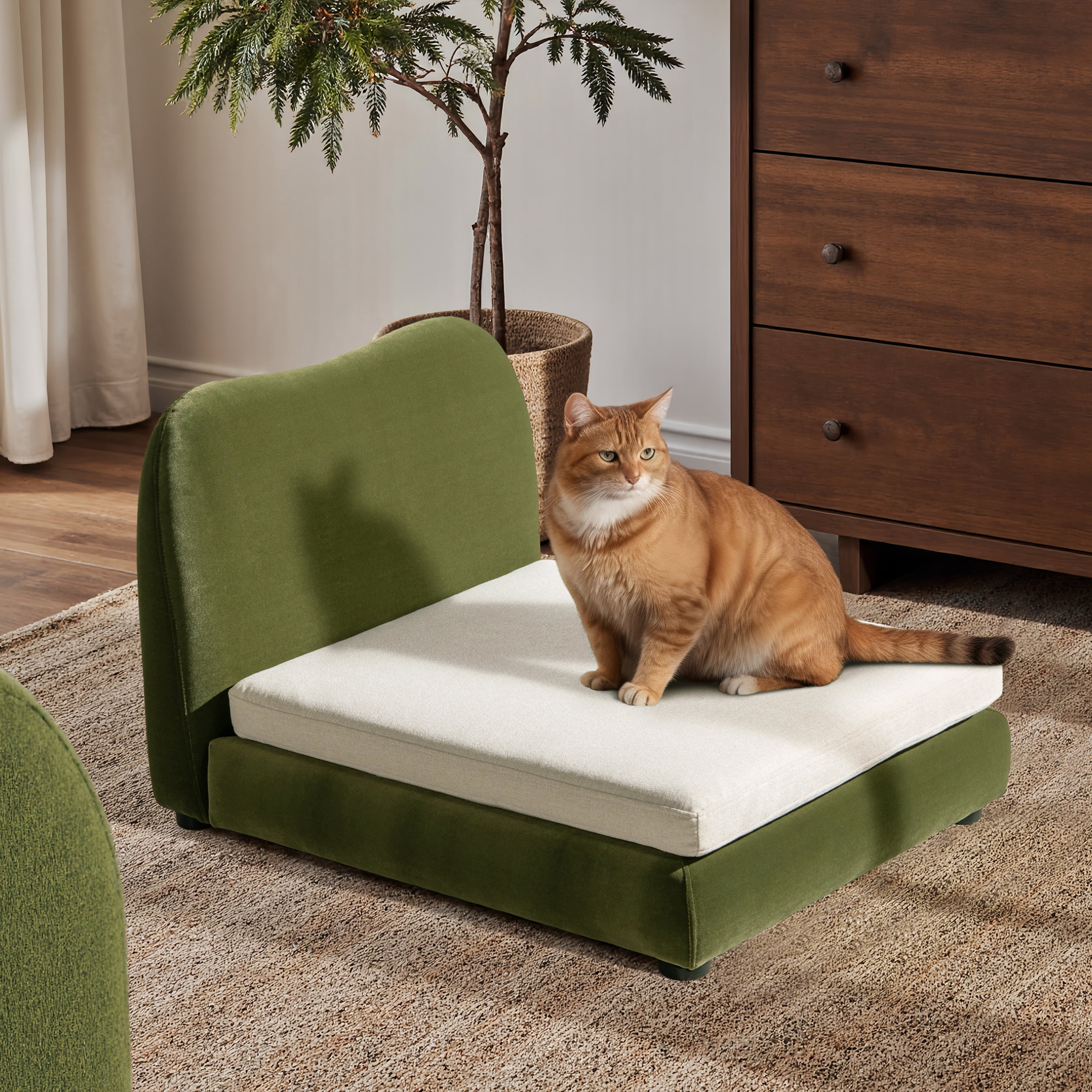 Pet Bed, Small to Medium Dog or Cat Olive Green Performance Velvet