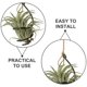 thumbnail image 3 of unbranded 12Jgo Soporte Colgante Para Tilandsia Con Artístico Y Soporte Fuerte Para Plantas De Interior, 3 of 8
