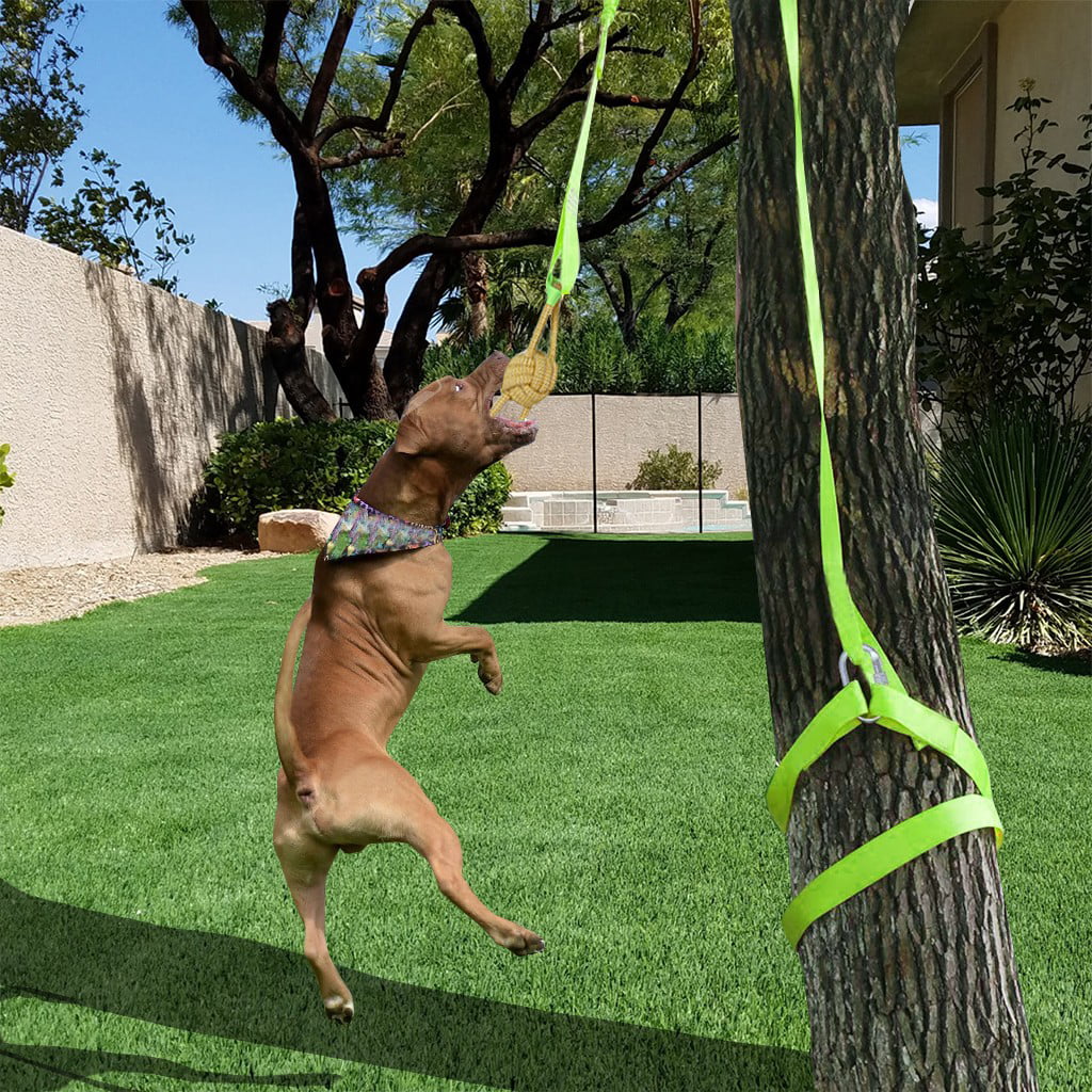 Retractable Interactive Tether Tug Dog Toy for Pitbull & Small to Large Dogs to Exercise & Tug of War Extra Durable & Safe with Chew Rope Toy Dog Outdoor Bungee Hanging Toy 