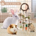 thumbnail image 3 of Juguete masticable Bissap Bunny para conejos, cobayas y chinchillas, 3 of 7