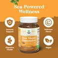 thumbnail image 5 of Natures Craft Sea Moss Gummies, Immune Support Supplement for Kids and Adults, Mixed Berry, 30 Count, 5 of 10