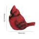 thumbnail image 3 of Navideña Artesanía Pájaros para Fiestas Festivales Navidad (sin Cordón) Rojo, 3 of 3