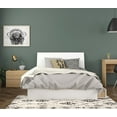 thumbnail image 1 of Nexera Aruba 3 Piece Bedroom Set, Natural Maple and White, 1 of 4