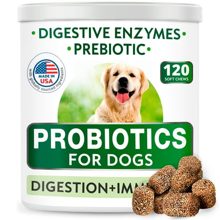 UPC: 0730167978217 | Dog Probiotics Chews – Gas  Diarrhea  Allergy  Constipation  Upset Stomach Relief  with Digestive Enzymes + Prebiotics – Chewable Fiber Supplement – Improve Digestion  Immunity – Made in USA – 120 Ct