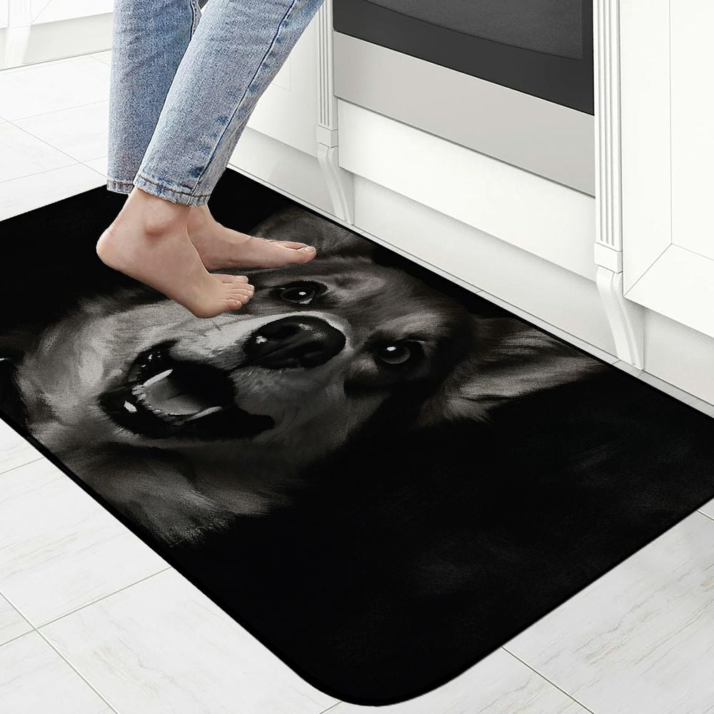 Heduofu Welcome Mat, Decorative Door Mat, Door Mat with Non-Slip Rubber Backing, Easy Cleaning, Traps Dirt, Rug for Entry, Patio, Garage