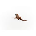 thumbnail image 4 of Schleich Wild Life - Iguana Animal Toy for Boys and Girls - Lizard Figurine - Kids Ages 3+, 4 of 6