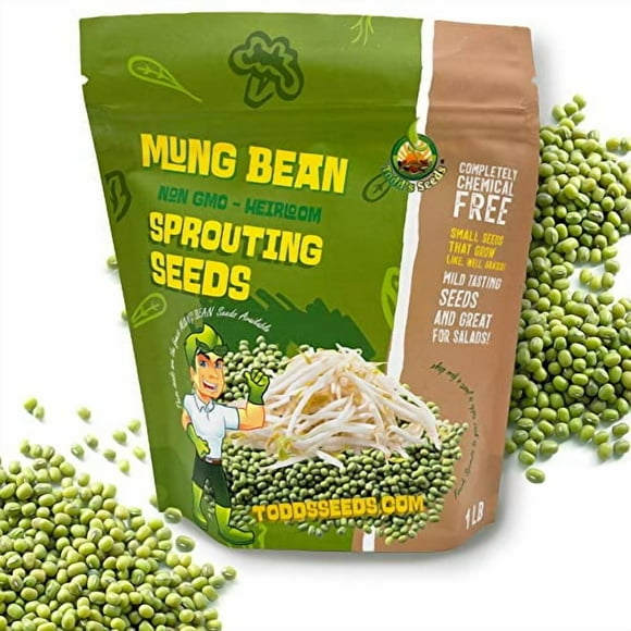 Graines Todd's - Graines de Germination de Haricot Mungo - Graines de Haricot Mungo - Haricot Vert Chinois - 1 Livre de Graines en Vrac