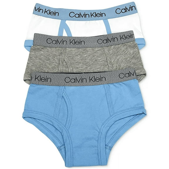 Calvin Klein BLUE BELL/HEATHER GREY Little & Big Boys 3-Pack Briefs, US Large