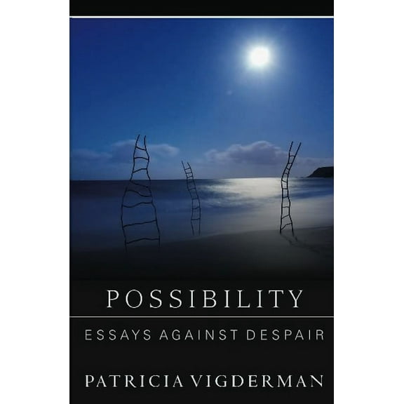 Possibility: Essays Against Despair (Paperback)