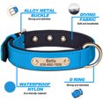 thumbnail image 4 of Didog Waterproof Nylon Dog Collars Neoprene Padded Custom ID Name Phone for Pets S M L, 4 of 9