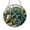 Acrylic 3.5 Inch, variant on Vibrant Chameleon Faux Stained Glass Round Window Decor2001