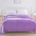 thumbnail image 1 of Soft Blanket Queen Size For All Season Warm Fuzzy Lightweight Thermal Fleece Summer Autumn Fall Winter Spring Blankets For Queen Full Bed Couch Sofa, 1 of 5